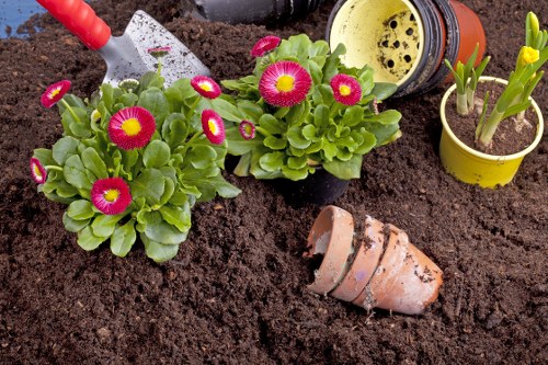 Healthy green lawn care in Ham with neat mowing and even turf