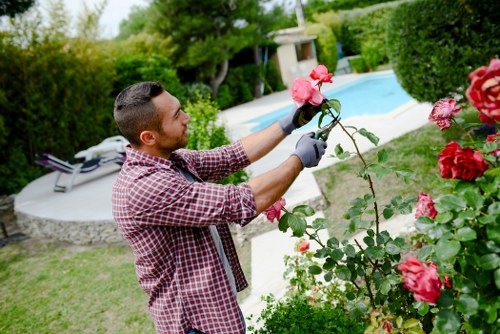 Garden maintenance pricing for a Ham property