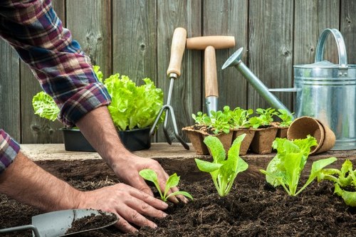 Seasonal garden maintenance by Gardeners Ham