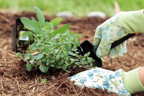 Garden maintenance in Ham with neat lawn and tidy borders
