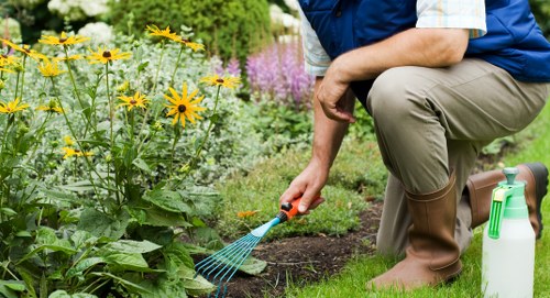 Seasonal gardening services in Ham for spring and summer