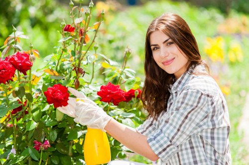 Experienced gardeners in Ham creating a healthy garden