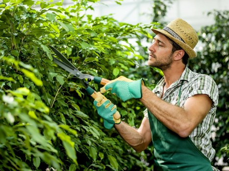 Professional lawn care in Ham focused on soil health and grass growth
