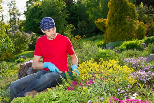 Hedge cutting and border care for garden maintenance in Ham