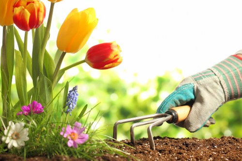 Seasonal planting ideas for landscape gardening in Ham in a residential garden