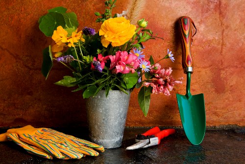 Seasonal garden maintenance in Ham with pruning and cleanup