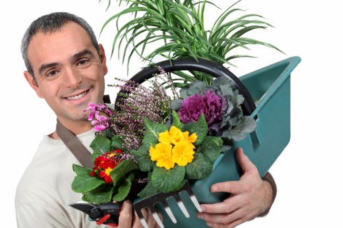 Seasonal lawn care in Ham with aeration, feeding, and maintenance
