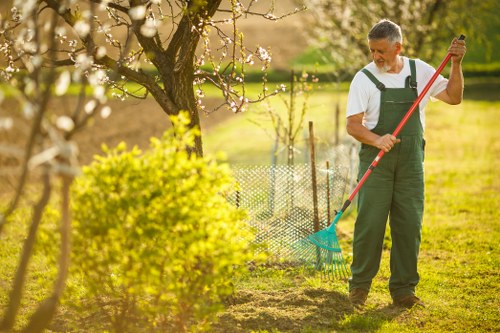 Autumn and winter garden maintenance in Ham