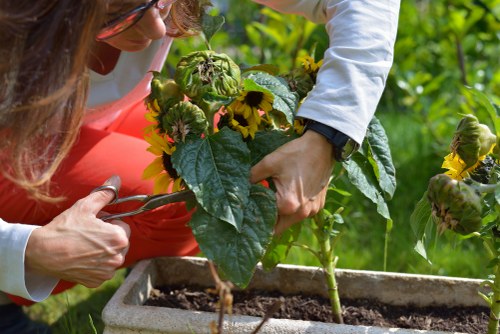 Final secure Gardeners Ham checkout with trusted payment methods